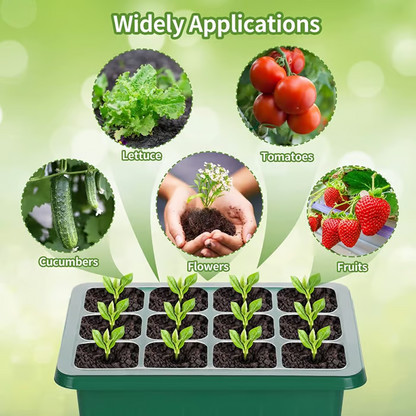 Spring Hot Sale 50%🌱Adjustable Humidity Seed Starter Trays with Grow Light